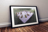 Hummingbird Bath Party Fine Art - From Sakura With Love