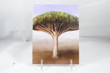 Dragonblood Tree Postcard 4x6 - From Sakura With Love