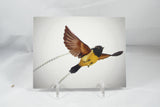 King of Saxony bird-of-paradise Postcard 4x6 - From Sakura With Love