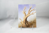 Ancient Bristlecone Postcard 4x6 - From Sakura With Love