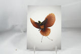 Red Bird of Paradise Postcard 4x6 - From Sakura With Love