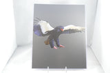 Bateleur Eagle Fine Art 8x11 - From Sakura With Love