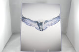 Snowy Owl Fine Print 8x11 - From Sakura With Love