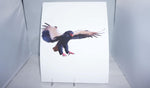 Bateleur Eagle Fine Art 8x11 - From Sakura With Love