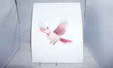 Albino Cardinal Fine Art 8x11 - From Sakura With Love