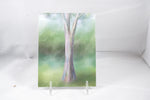 Rainbow Eucalyptus Tree Postcard 4x6 - From Sakura With Love