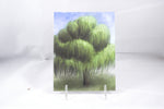 Weeping Willow Tree Postcard 4x6