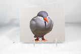 Inca Tern Postcard 4x6 - From Sakura With Love
