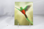 Resplendent Quetzal Watercolor Postcard 4x6 - From Sakura With Love