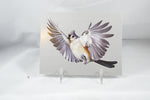 Tufted Titmouse Postcard 4x6