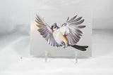 Tufted Titmouse Postcard 4x6