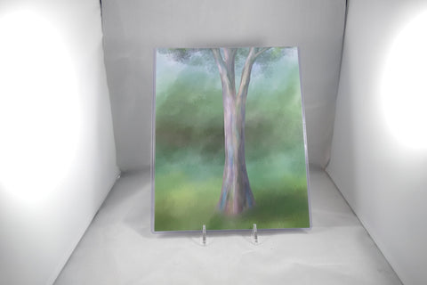 Rainbow Eucalyptus Tree Fine Art 8x11 - From Sakura With Love