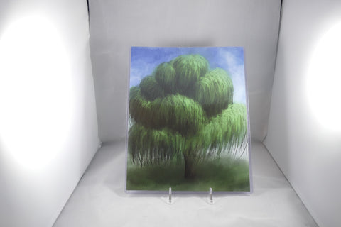 Weeping Willow Tree Fine Art 8x11