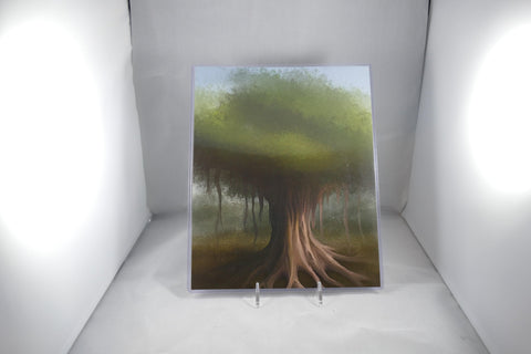 Banyan Tree Fine Art 8x11 - From Sakura With Love