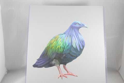 Nicobar Pigeon Fine Art 8x11 - From Sakura With Love