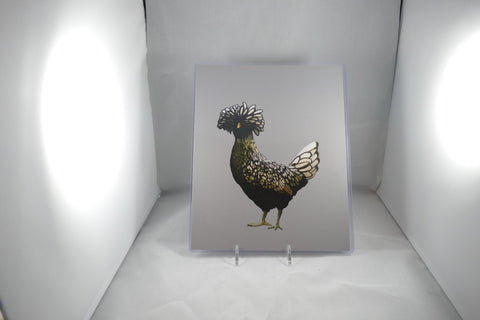 Polish Chicken Fine Art 8x11 - From Sakura With Love