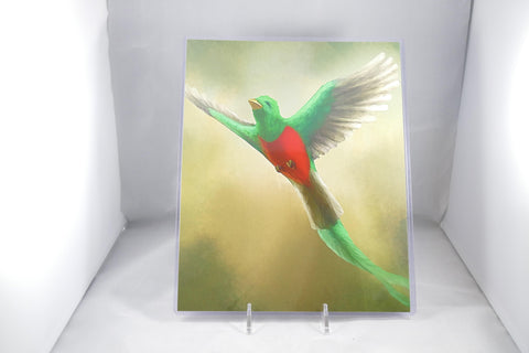 Resplendent Quetzal Watercolor Fine Art 8x11 - From Sakura With Love