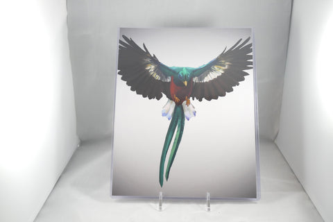 Resplendent Quetzal Fine Art 8x11 - From Sakura With Love