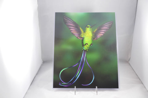 Long-tailed Sylph Hummingbird Fine Art 8x11 - From Sakura With Love