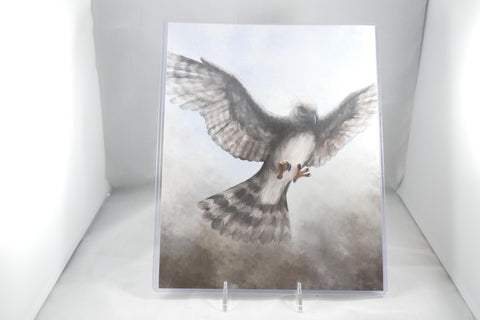 Harpy Eagle Fine Art 8x11 - From Sakura With Love