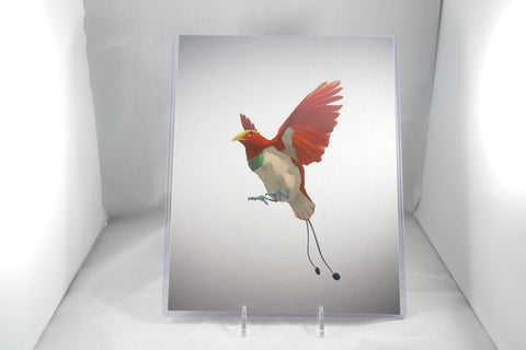 King Bird of Paradise Fine Art 8x11 - From Sakura With Love