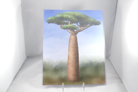 Baobob Tree Fine Art Print 8x11 - From Sakura With Love